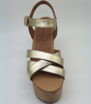 Aurora-Dorado-Principal