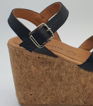 Aurora-Negro-Principal